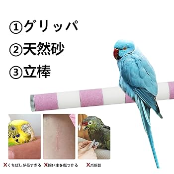 新品 のびも15 爪将軍 6本セット モモンガ 小鳥 オウム 小動物 爪とぎ 楽天市場】ゆうパケットOK フクロモモンガの爪とぎバー